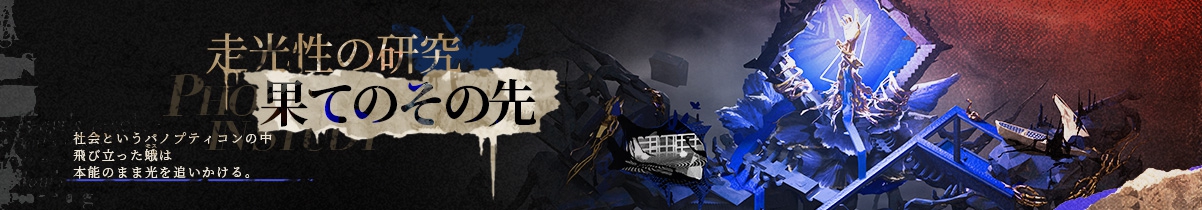 走光性の研究・果てのその先