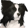 Pickles_icon.png